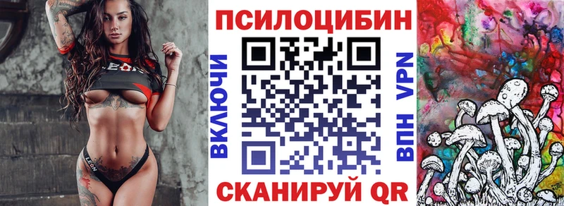 даркнет сайт  кракен ТОР  Псилоцибиновые грибы мицелий  Котлас 